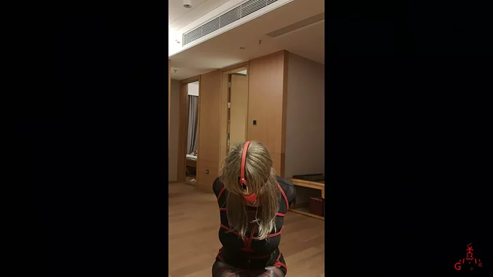 Screenshot 2 from Hemminger: Spring Festival Gag Game (Unreleased Footage!)