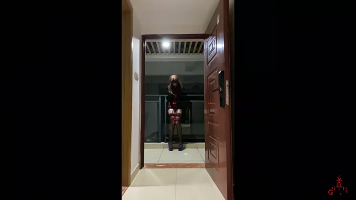 Screenshot 5 from Hemminger: Spring Festival Gag Game (Unreleased Footage!)
