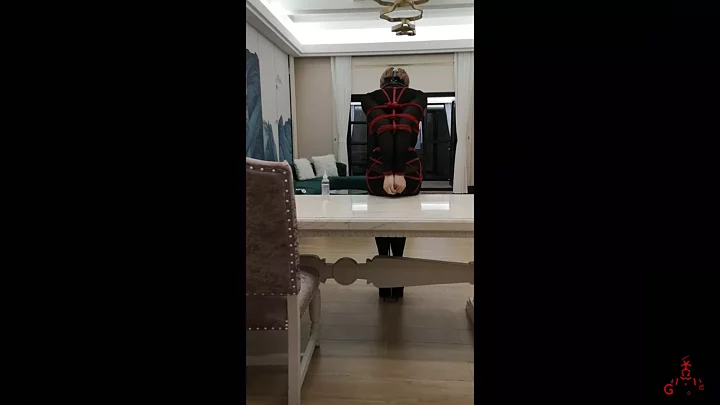 Screenshot 7 from Hemminger: Spring Festival Gag Game (Unreleased Footage!)