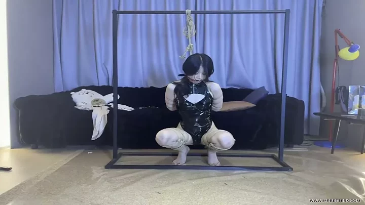 Screenshot 5 from Cat and fish standing on tiptoe with legs folded and tied