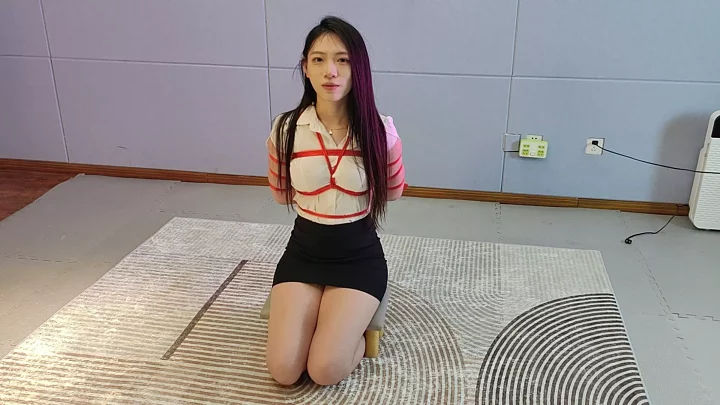 Screenshot 3 from Lu Manying interview chat