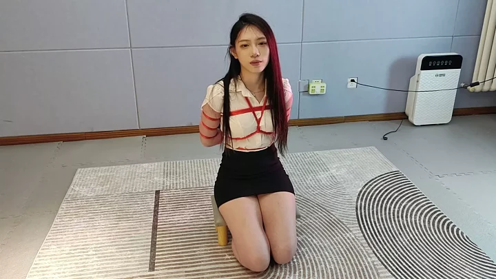 Screenshot 8 from Lu Manying interview chat