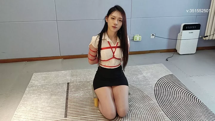 Screenshot 9 from Lu Manying interview chat