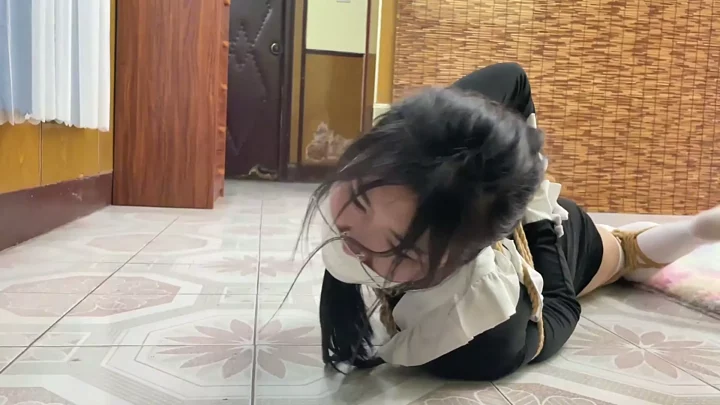 Screenshot 8 from Maid’s Training Diary 03