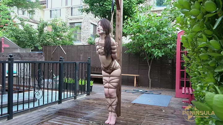 Screenshot 5 from YT2447 Summer Resort