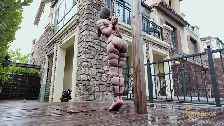 Screenshot 6 from YT2447 Summer Resort