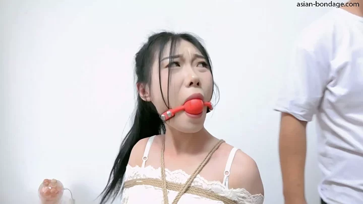 Screenshot 2 from XiaoYao: Piaomiao Fairy Caught in the Beauty Hunting Trap