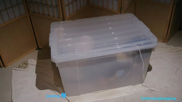 Juejiang: Xiao Qi’s Trapped Box Escape Trick Goes Wrong