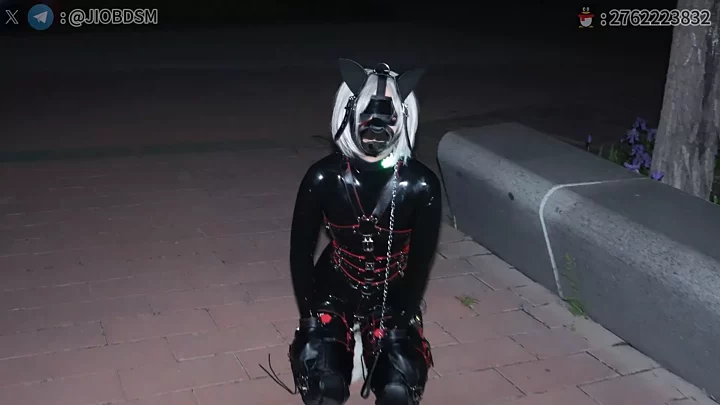 JIOBDSM: K9 Latex Training in the Park – Electric Shock & Vibrator