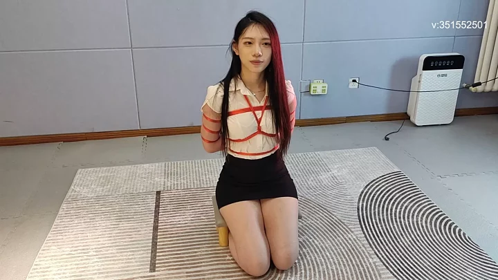 Lu Manying interview chat