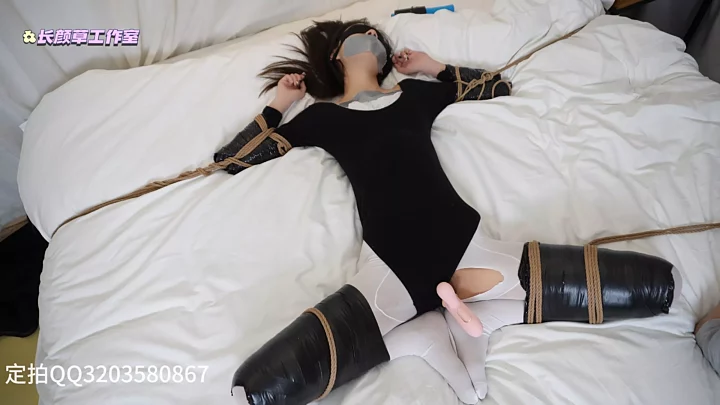 Mengting humanoid dog’s limbs are fully wrapped and separated and fixed