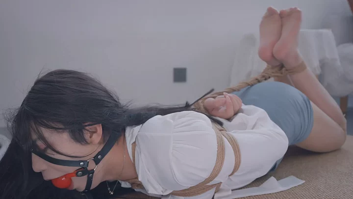 Xiao Ye Became a Dog Slave
