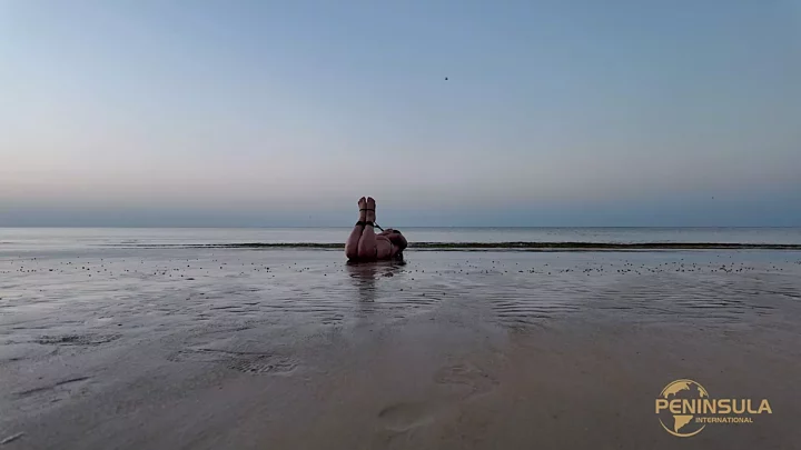 Screenshot 1 from YT2531 To prove that there are no sharks near the coast of Yantai