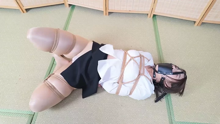 Chen Chen The office dress OL skirt のスクリーンショット 1